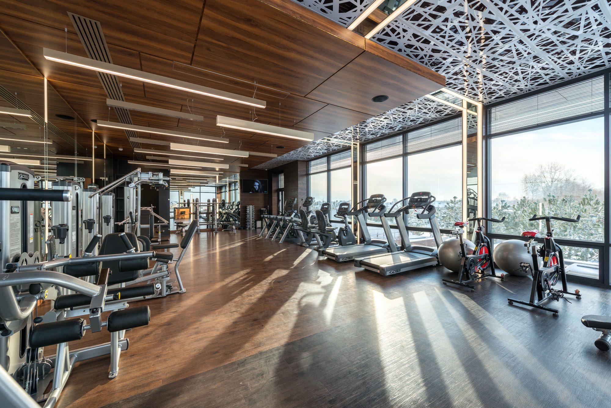 Modern gym training floor with rows of cardio machines and weight equipment beneath floor-to-ceiling windows